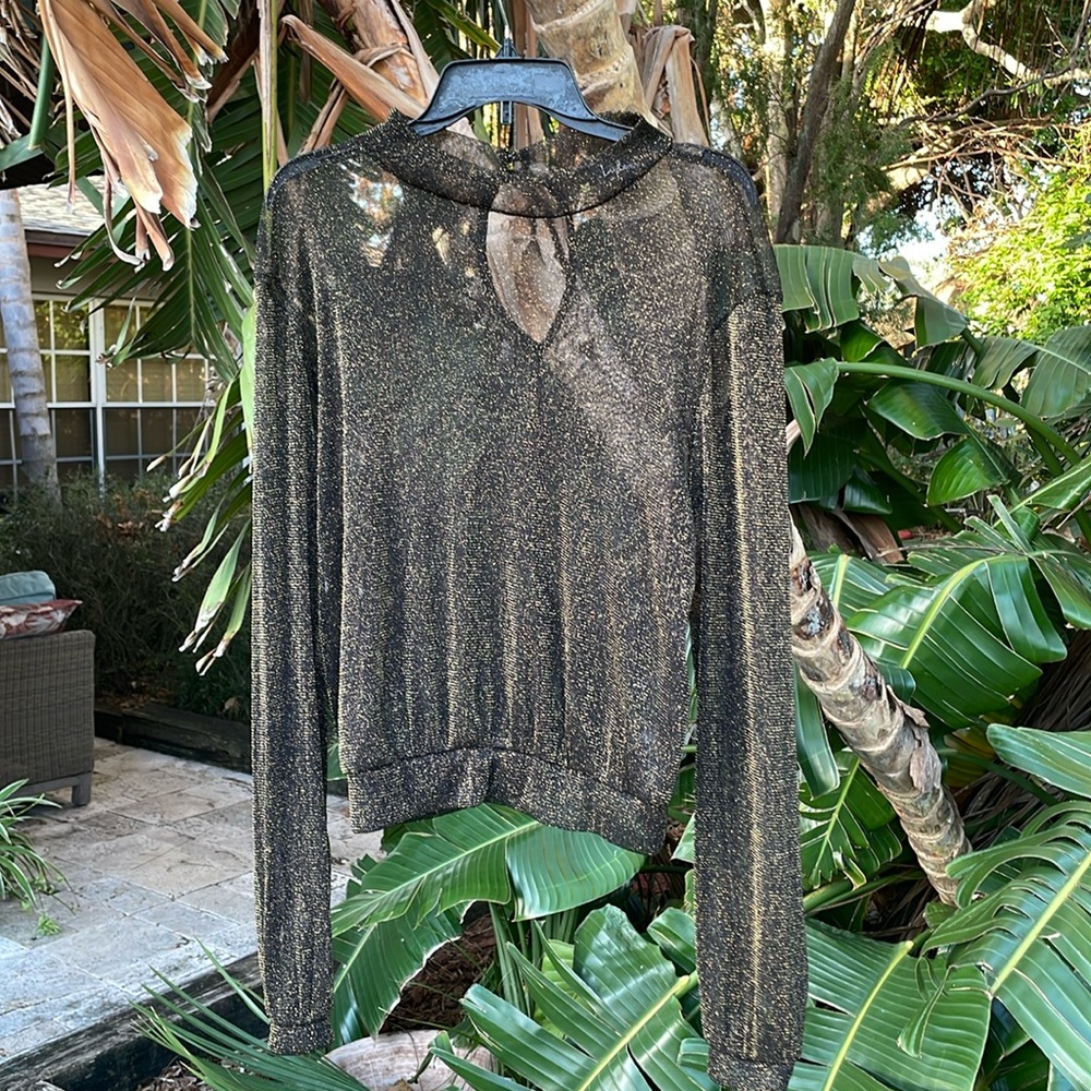 metallic gold sparkle, sheer mesh top
